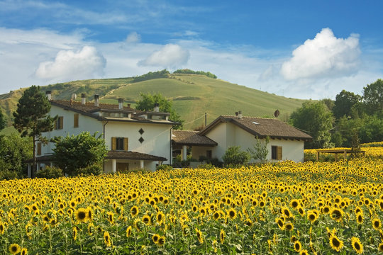 view of emilia romagna - italy