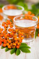 2 Gläser Vogelbeerschnaps mit Eberesche (sorbus aucuparia)