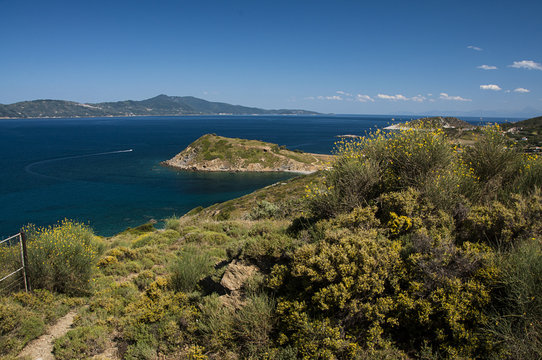 View over Skopelos island