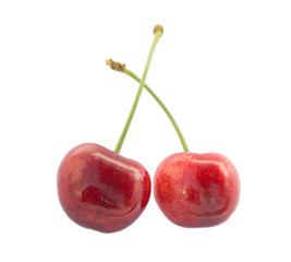 Two sweet cherries close-up