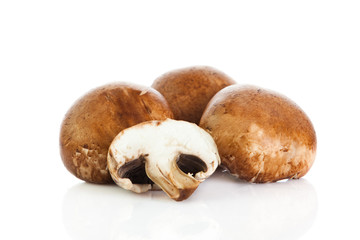 mushroom  isolated on white background.