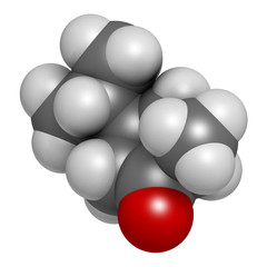Thujone absinthe molecule, chemical structure.