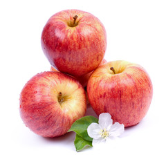 Erntezeit, Äpfel