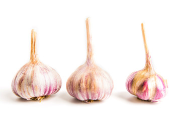Garlic isolated on white background