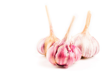 Garlic isolated on white background
