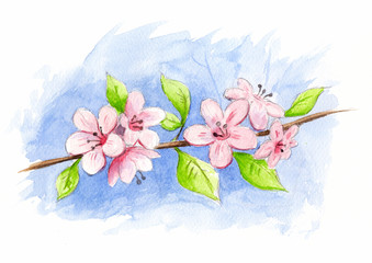 spring watercolor