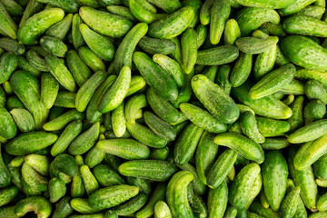 green cucumbers, background