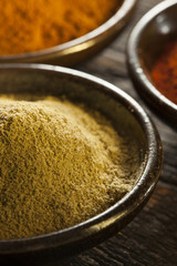 Organic Gourmet Hot Ground Spices