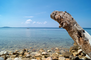 Summer resort of Halkidiki peninsula in Greece