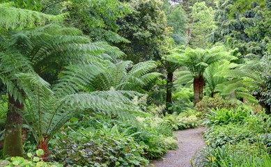 jardin en cornouailles
