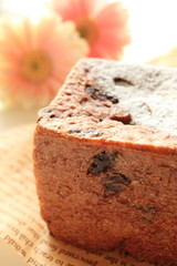 close up home bakery chocolate cube bread