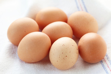 Eggs