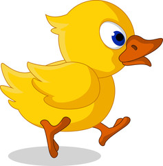cute baby duck cartoon running