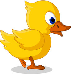 cute baby duck cartoon walking
