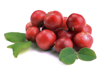 ripe red cranberries