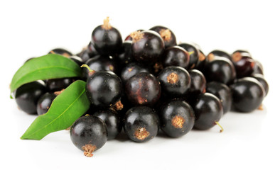 Black currant isolated on white