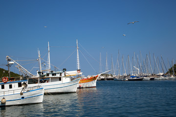 Fototapeta premium Sea port in city of Vrsar