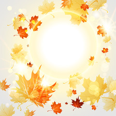 Bright autumn background