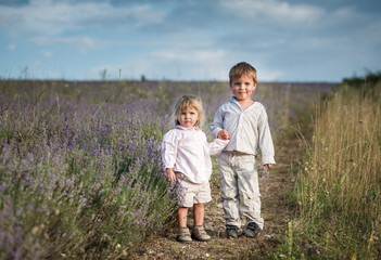 Charming children on lavender field at sunset