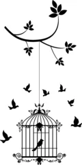 Abwaschbare Fototapete Vögel in Käfigen Schönheitsbaumsilhouette mit fliegenden Vögeln und Vogel in einem Käfig