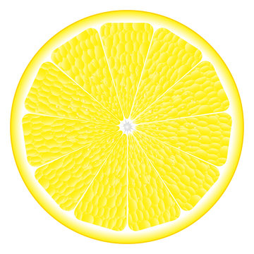 large circle of lemon