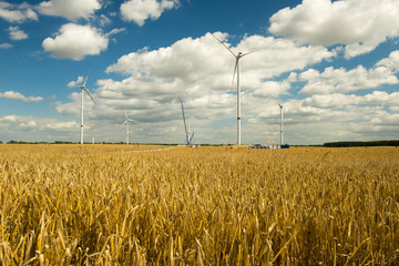 Windkraftanlagen im Getreidefeld