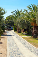 Stone pathway into garden during day time at Chalkidiki in Greec