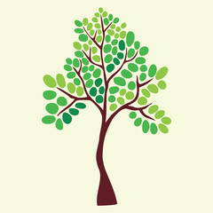 Illustration of tree.