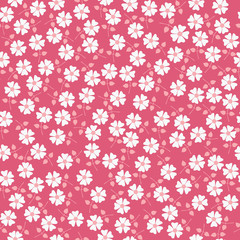 Seamless floral pattern. Flowers texture. Daisy.