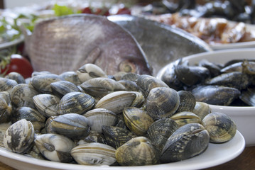 pesce fresco del mediterraneo