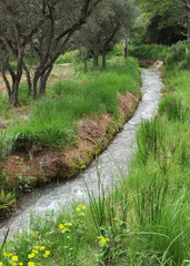 Ruisseau en Provence