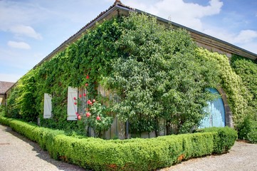 jardin anglais