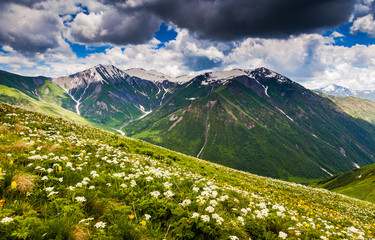 Fototapeta premium mountain landscape