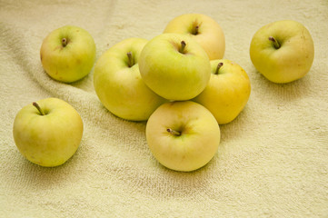 Apples