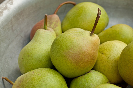 Ripe Pear fruits