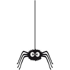 Funny Spider