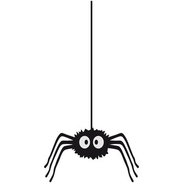 Funny Spider