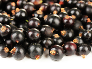 Black currant isolated on white