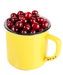 Sweet cherry in cup isolated on white