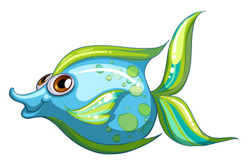 A big blue fish with a stripe-colored tail