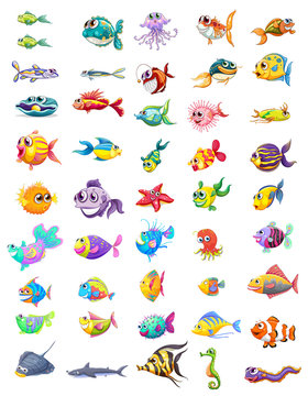 Group of different fishes