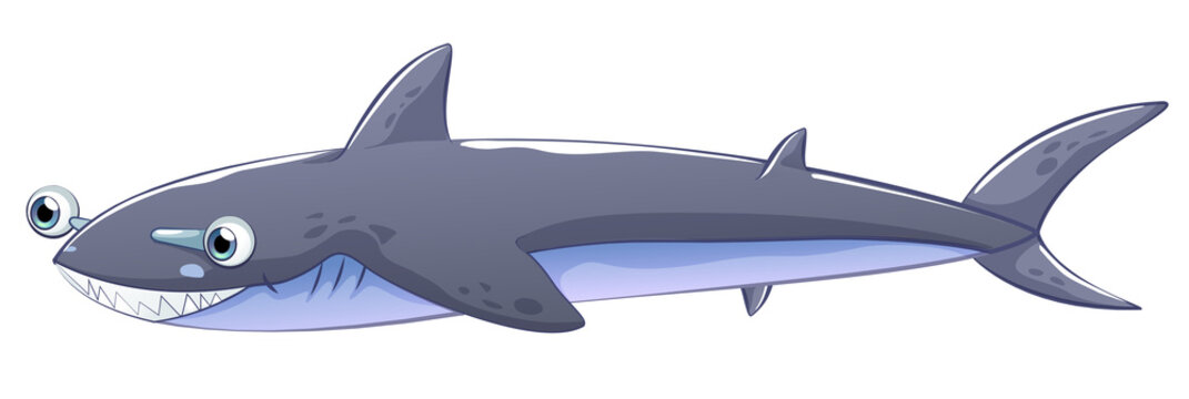 A gray shark