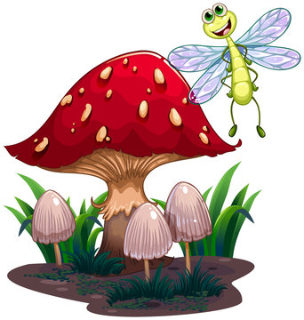 A dragonfly flying beside the mushrooms
