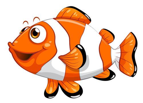 Nemo Images – Browse 15,539 Stock Photos, Vectors, and Video | Adobe Stock