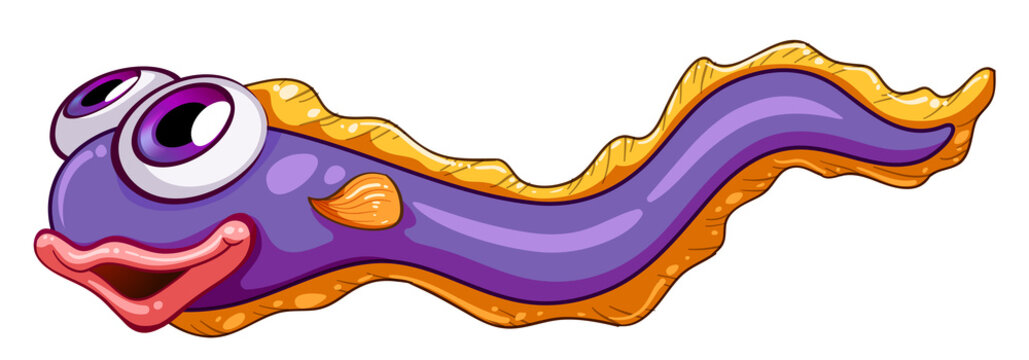 A colorful snake fish