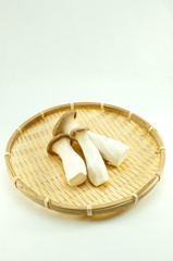 新鮮なエリンギ