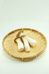 新鮮なエリンギ