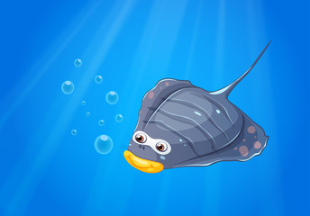A manta ray under the sea