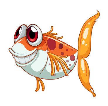 An orange fish with big eyes