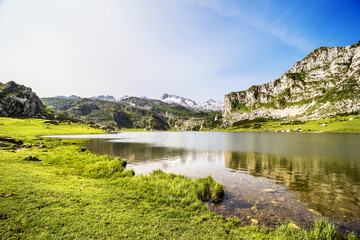 Lake Ercina, lakes of Covadonga, Asturias , Spain. © mrks_v